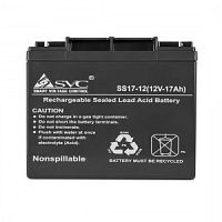 Свинцово-кислотные АКБ, AGM DL-SVC-VP1217 DL-SVC-VP1217 в магазине "АйТиАйСИ" в Ростове на Дону | itic.ru 